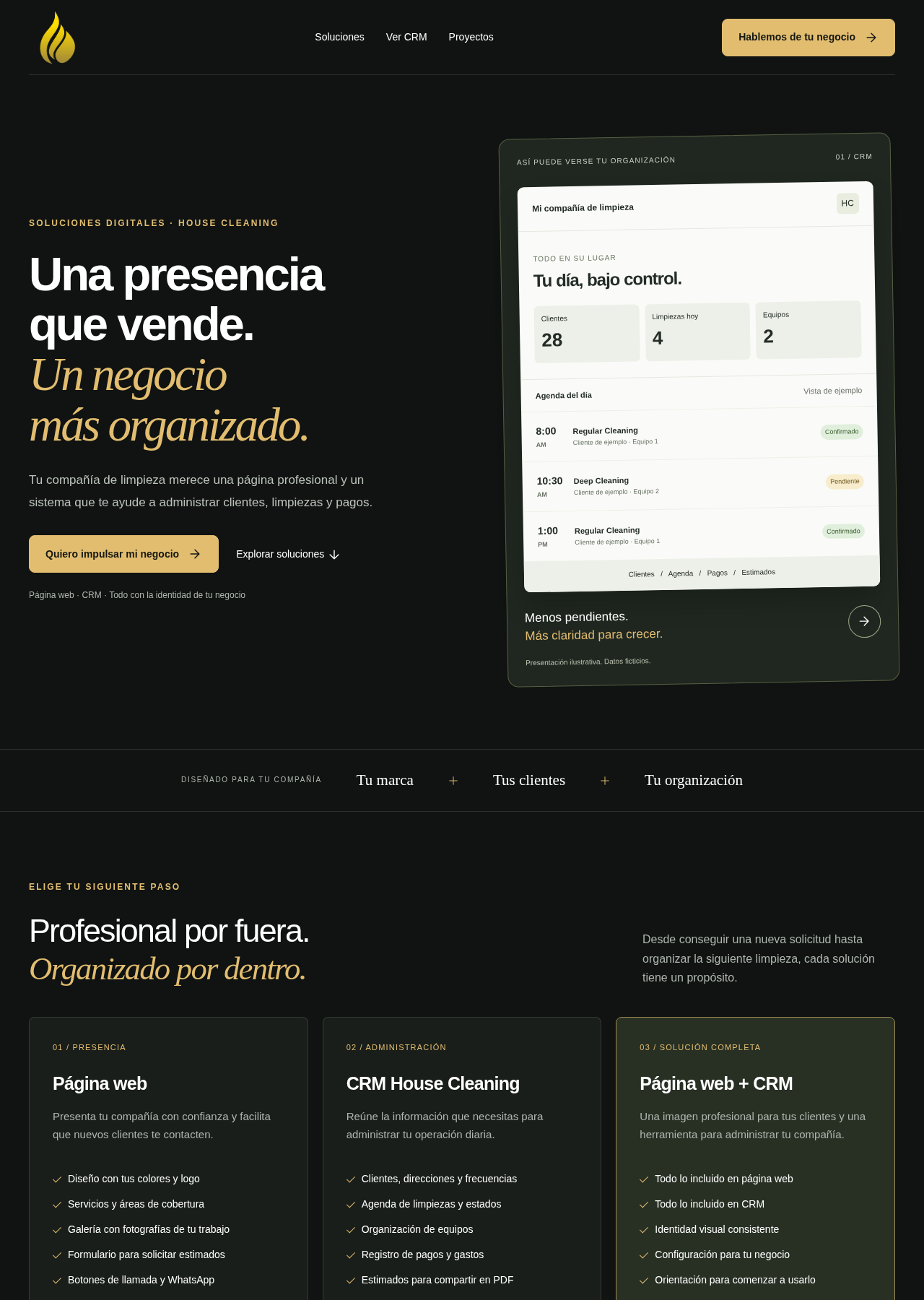 Ejemplo real de una página web profesional para negocios